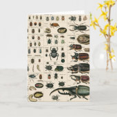 Carte Illustration du coléoptère vintage (Fleur jaune)