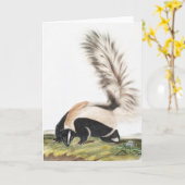 Carte Illustration LargeTail Skunk Mephitis macroura (Fleur jaune)