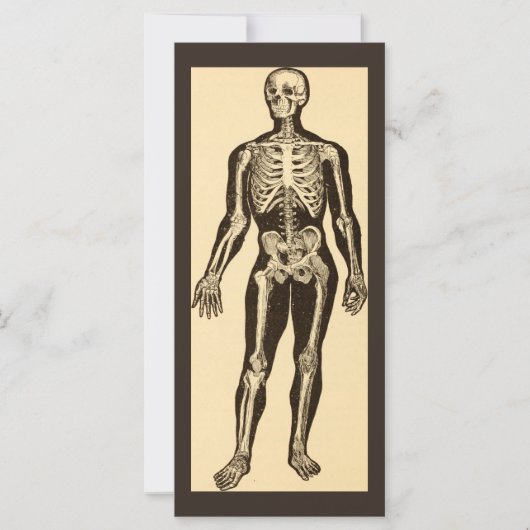 Carte Illustration médicale de squelette vintage à plat (Devant)