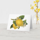 Carte Illustration vintage de citrons (Fleur jaune)