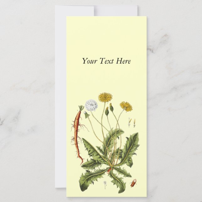Carte Illustration vintage du Dandelion (Devant)