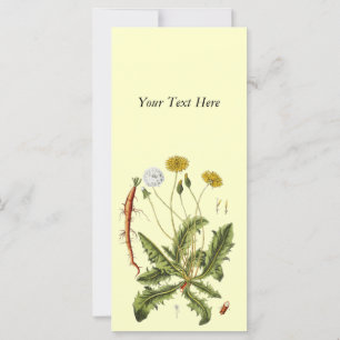 Carte Illustration vintage du Dandelion