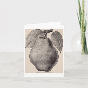 Carte Illustration vintage D'Un Sticker Pear 1893