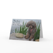 Ils Laissent Des Pawprints Sur Notre Coeur Sympath