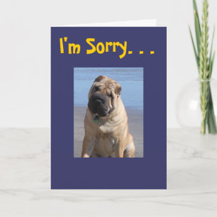 Carte I'm sorry