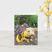 Carte ImaBee (Fleur jaune)