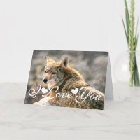 Image d'art graphique de Wolf Rain Je t'aime