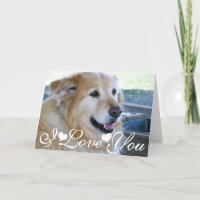 Image de photo de golden retriever je t'aime
