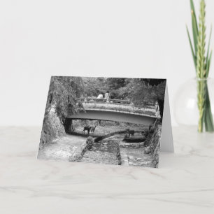 Carte Images du Japon