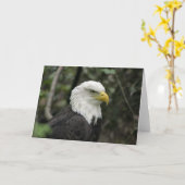 Carte IMG_0673-eagle_5x7 (Fleur jaune)