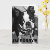 CARTE IMG_0932, JE SUIS DÉSOLÉ ! ! ! (Fleur jaune)