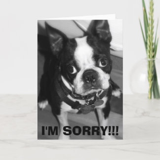 CARTE IMG_0932, JE SUIS DÉSOLÉ ! ! !