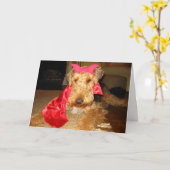 CARTE IMG_1191 (Fleur jaune)