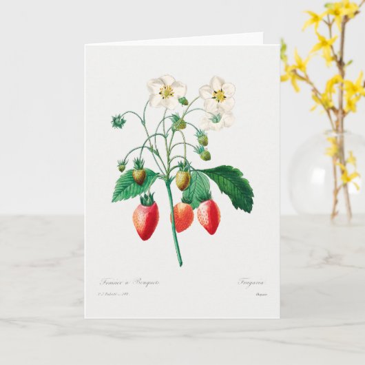 Carte Impression botanique de fraises (Fleur jaune)