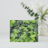 Carte Impression botanique verte Ivy (Debout devant)