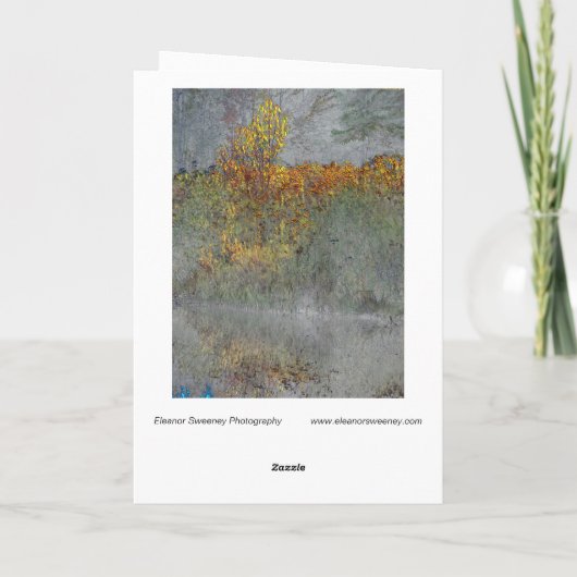 Carte "Impression de l'automne" Numériquement Forêt tran (Dos)