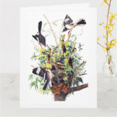 Carte Impression de Moqueurs par Audubon (Fleur jaune)