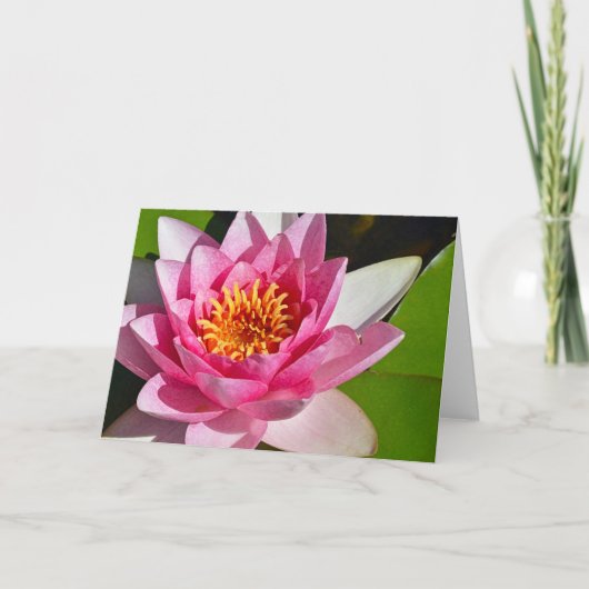 Carte Impression florale de nénuphar rose (Devant)