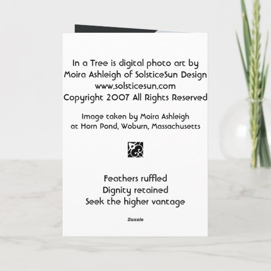 Carte In a Tree (Dos)