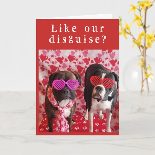 CARTE **INCOGNITO ET TIMIDE** SOYEZ NOTRE VALENTIN ? (Fleur jaune)