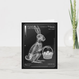 Carte Infirmière en radiologie radiologue drôle de lapin