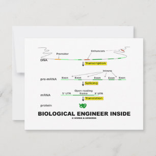 Carte Ingénieur biologique à l'intérieur