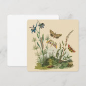 Carte Insectes vintages, Papillons, Caterpillar (Devant / Derrière)