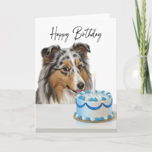 Carte Inspecteur de gâteau Blue Merle Sheltie (Devant)