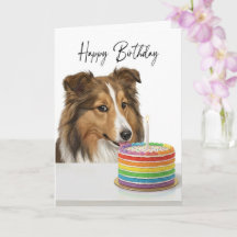 Inspecteur de gâteau d'anniversaire Sheltie