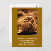 Carte inspirante : La vie à l'envers (Devant / Derrière)