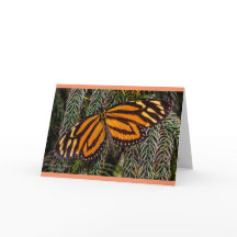 Inspiration de papillon