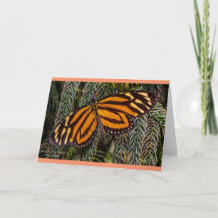 Carte Inspiration de papillon