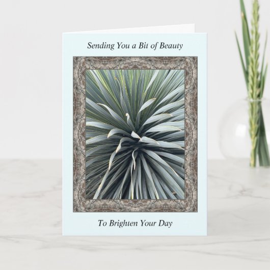 Carte Inspiration Get Well Card avec un Yucca étonnant (Devant)
