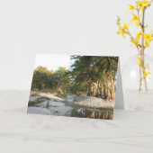 Carte Inspiration quotidienne Carte-Ce qui importe (Fleur jaune)