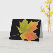 Carte Inspirer la feuille d'érable à sucre (Fleur jaune)