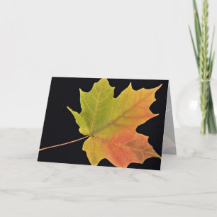 Carte Inspirer la feuille d'érable à sucre