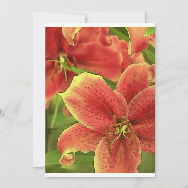 Carte Intense (Devant)