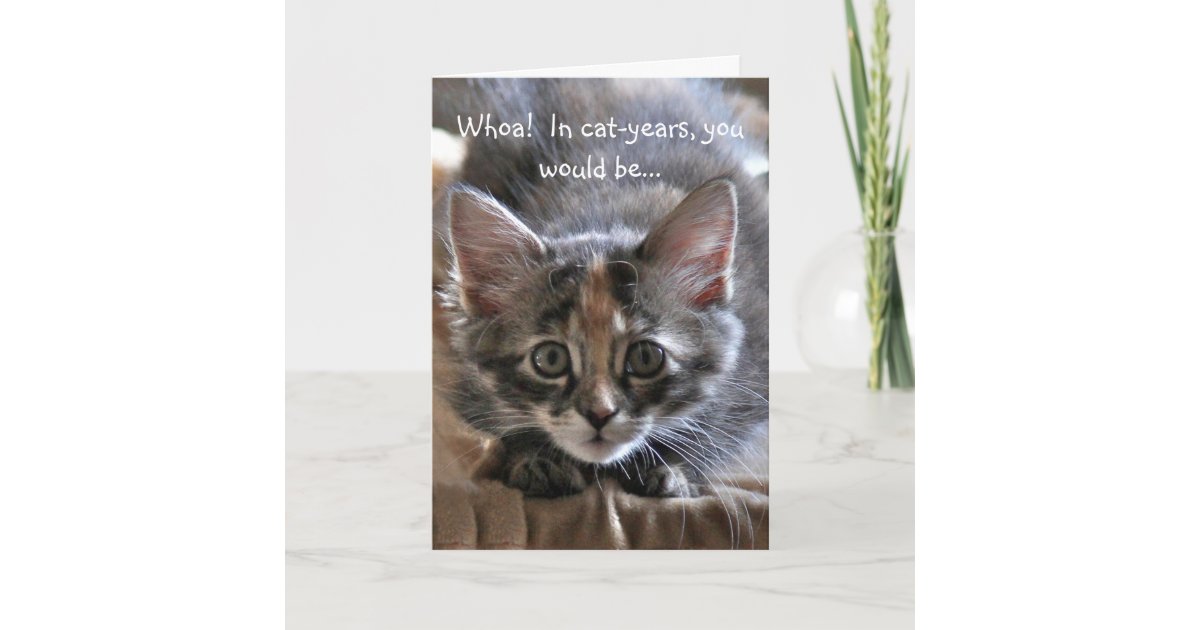 Carte Intense De Joyeux Anniversaire De Chaton Zazzle Be