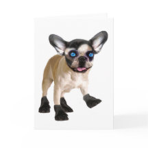 Carte intérieure blanche mignonne