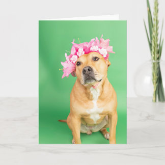 Carte intérieure vide