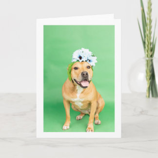 Carte intérieure vide