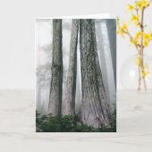 Carte Invoquer la forêt (Fleur jaune)