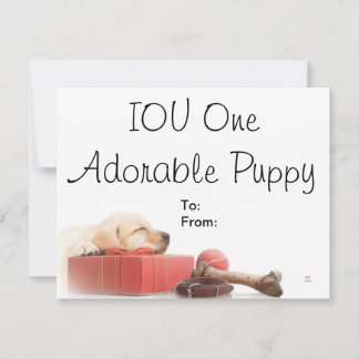 Carte IOU One Adorable chiot