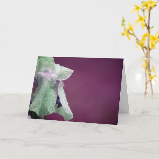 Carte Iris (Fleur jaune)