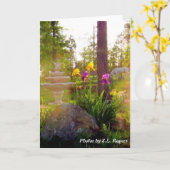 Carte Iris (Fleur jaune)