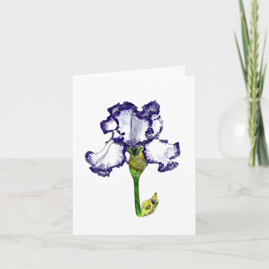 Carte Iris à poils violet et blanc (Devant)
