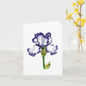 Carte Iris à poils violet et blanc (Fleur jaune)