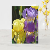 Carte Iris au printemps (Fleur jaune)