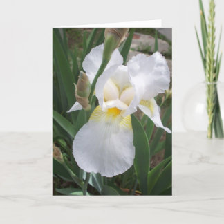 Carte Iris blanc