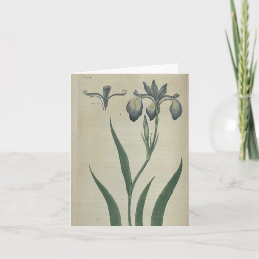Carte Iris bleu (Devant)